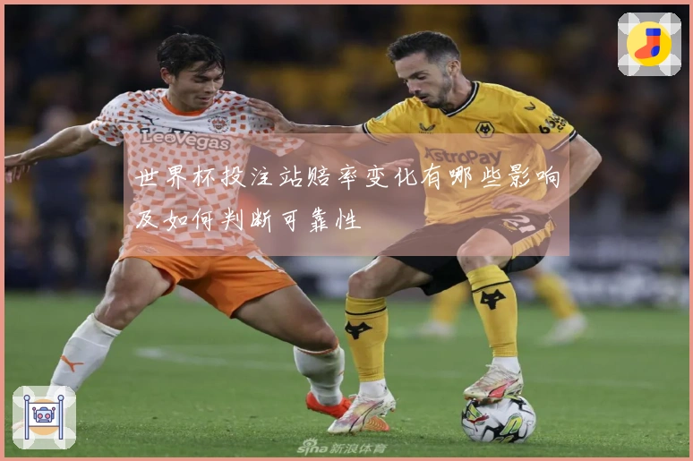 世界杯投注站赔率变化有哪些影响及如何判断可靠性