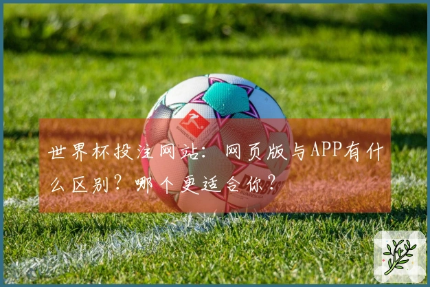 世界杯投注网站：网页版与APP有什么区别？哪个更适合你？