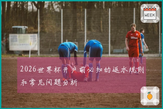 2026世界杯开户前必知的返水规则和常见问题分析