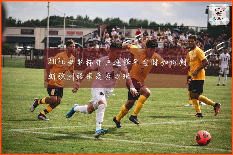 2026世界杯开户选择平台时如何判断欧洲赔率是否合理