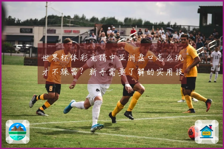 世界杯体彩竞猜中亚洲盘口怎么玩才不踩雷？新手需要了解的实用技巧剖析