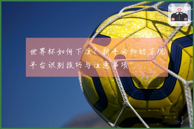 世界杯如何下注？新手必知的正规平台识别技巧与注意事项