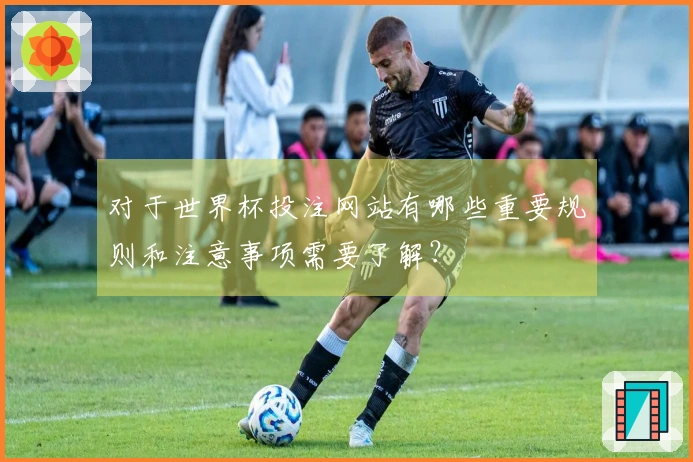 对于世界杯投注网站有哪些重要规则和注意事项需要了解？