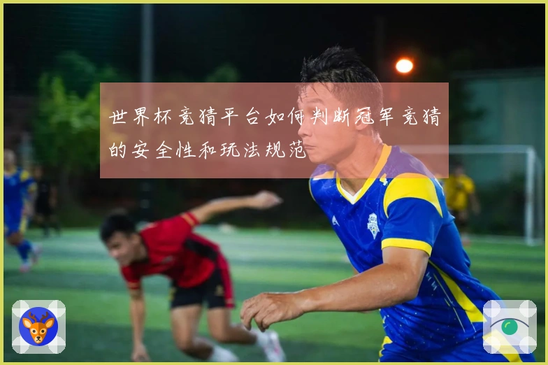 世界杯竞猜平台如何判断冠军竞猜的安全性和玩法规范