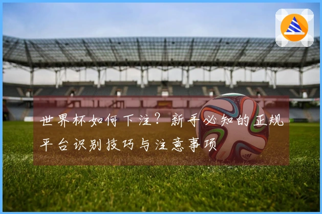 世界杯如何下注？新手必知的正规平台识别技巧与注意事项