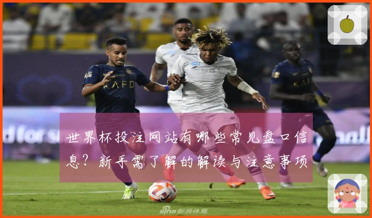 世界杯投注网站有哪些常见盘口信息？新手需了解的解读与注意事项