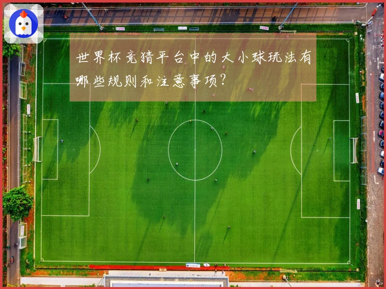 世界杯竞猜平台中的大小球玩法有哪些规则和注意事项？