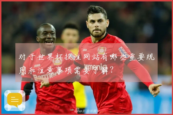 对于世界杯投注网站有哪些重要规则和注意事项需要了解？