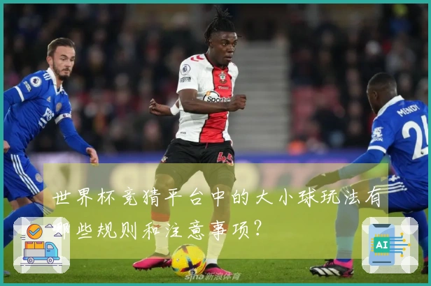 世界杯竞猜平台中的大小球玩法有哪些规则和注意事项？