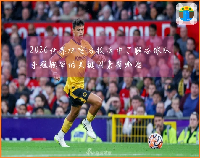 2026世界杯官方投注中了解各球队夺冠概率的关键因素有哪些
