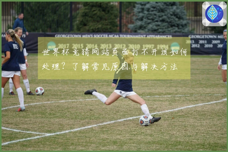 世界杯竞猜网站页面打不开该如何处理？了解常见原因与解决方法