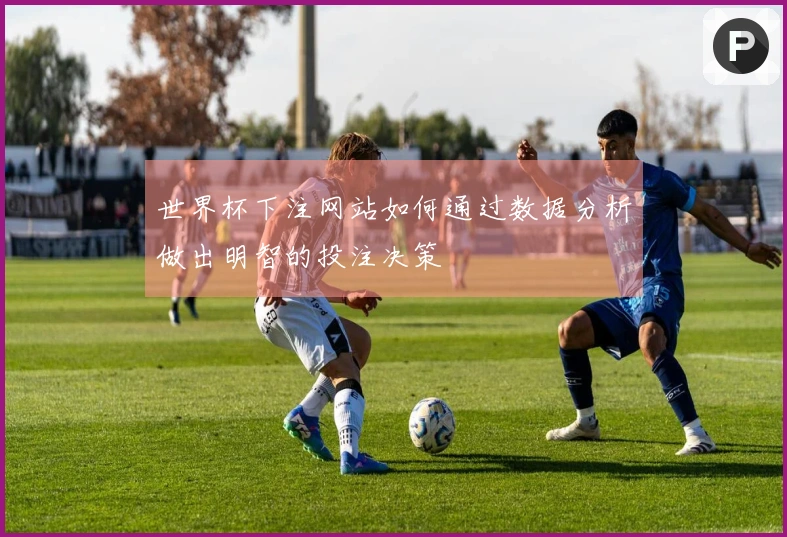 世界杯下注网站如何通过数据分析做出明智的投注决策