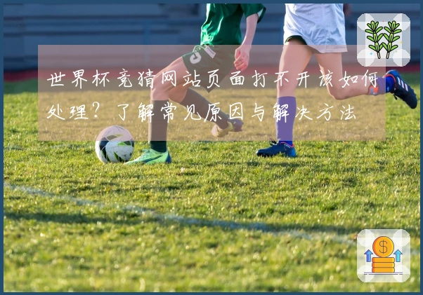 世界杯竞猜网站页面打不开该如何处理？了解常见原因与解决方法