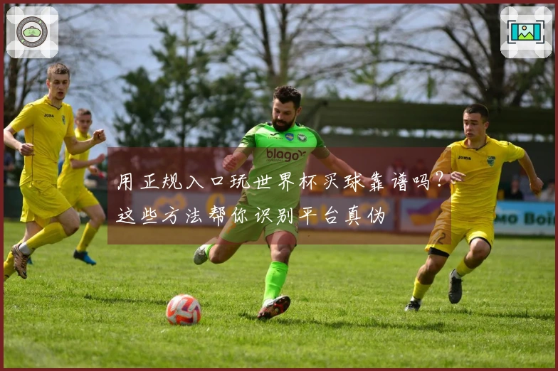 用正规入口玩世界杯买球靠谱吗？这些方法帮你识别平台真伪