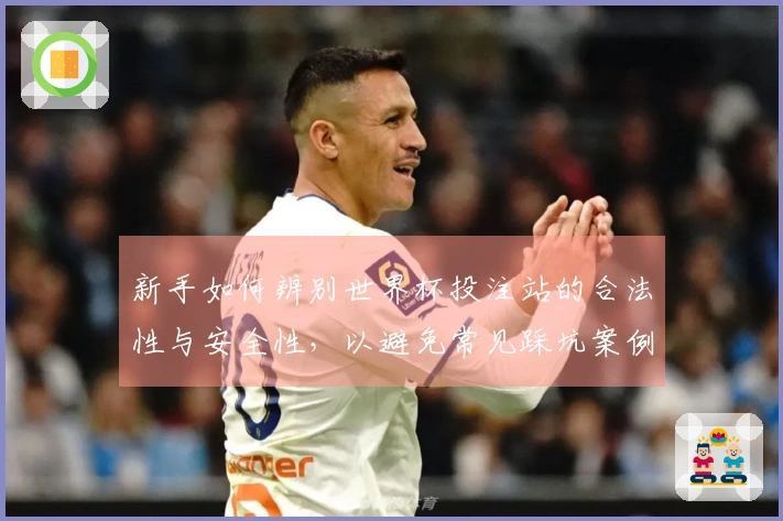 新手如何辨别世界杯投注站的合法性与安全性，以避免常见踩坑案例