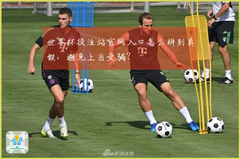 世界杯投注站官网入口怎么辨别真假，避免上当受骗？
