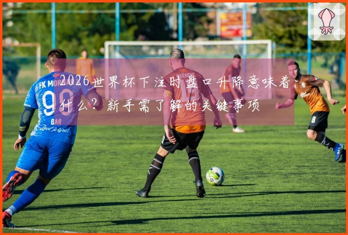 2026世界杯下注时盘口升降意味着什么？新手需了解的关键事项