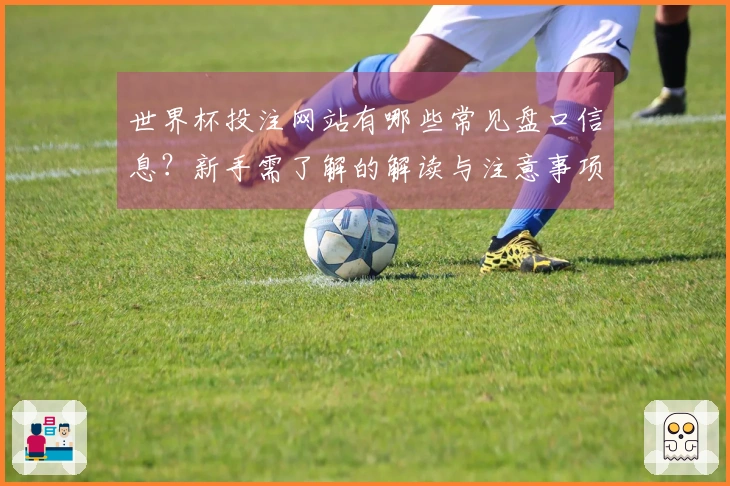 世界杯投注网站有哪些常见盘口信息？新手需了解的解读与注意事项