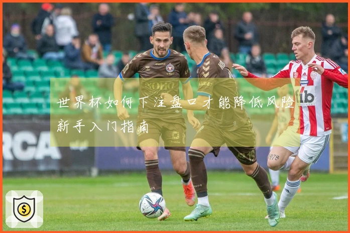 世界杯如何下注盘口才能降低风险新手入门指南