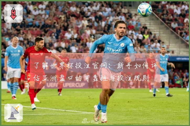 了解世界杯投注官网：新手如何评估亚洲盘口的可靠性与投注规则