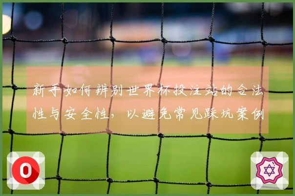 新手如何辨别世界杯投注站的合法性与安全性，以避免常见踩坑案例