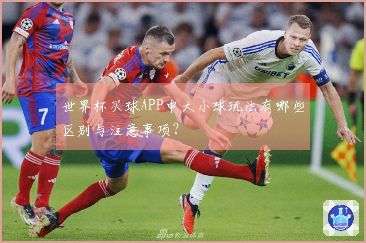 世界杯买球APP中大小球玩法有哪些区别与注意事项？