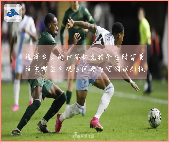 选择合法的世界杯竞猜平台时需要注意哪些合规性问题与官网识别技巧